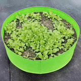 Maxbell Plant planting pouch Outdoor growing pot Breathable for Vegetable Back Porch Yard 100cmx30cm