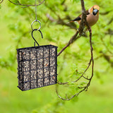 Maxbell Iron Hanging Bird Feeder Suet Cakes Feeder Accessories for Birds Portable Style B