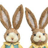 Maxbell Cartoon 2 Pieces Easter Bunny Rabbit Straw Figures 35cm Ornaments Lifelike Style E