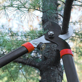 Maxbell Alloy Steel Pruning Shears Shrub Care Tool Trimmer for Flowers Outdoor