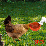 Maxbell 5 Pieces Automatic Chicken Water Cup Waterer Chicken Water Feeder for Bunny
