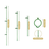 Maxbell 30Pcs Plant Support Stakes Green Plant Stake for Vegetable Tomato Greenhouse