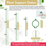 Maxbell 30Pcs Plant Support Stakes Green Plant Stake for Vegetable Tomato Greenhouse
