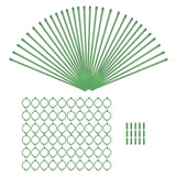Maxbell 30Pcs Plant Support Stakes Green Plant Stake for Vegetable Tomato Greenhouse