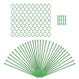Maxbell 30Pcs Plant Support Stakes Green Plant Stake for Vegetable Tomato Greenhouse