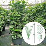 Maxbell 30Pcs Plant Support Stakes Green Plant Stake for Vegetable Tomato Greenhouse