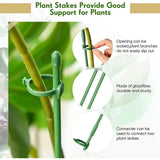 Maxbell 30Pcs Plant Support Stakes Green Plant Stake for Vegetable Tomato Greenhouse