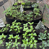 Maxbell Plant Grow Bag Large Vegetable Planting Pot for Rooftop Back Porch Gardening 180x90x30cm 8 pocket