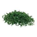 Maxbell 100x Trellis Clips Vegetables Tomatoes Vine Clips for Garden Climbing Plants Green