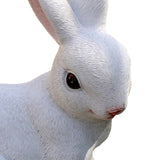 Maxbell 2Pcs Rabbit Garden Statue Animal Figurines for Outdoor Backyard Fairy Garden
