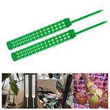 Maxbell Plant Poles Stand Trellis palm Dill Column Potted plant Pole for Plants Green