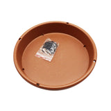 Maxbell Bird Feeding Dish Tray Platform Feeder Bird Water Bowl for Garden Patio Tree