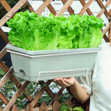 Maxbell Vegetable Flower Planter with Shelf Window Flower Box for Balcony Rail Porch Light gray