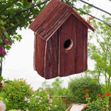 Maxbell Bird House Room Handmade Creative Bird House for Outside Garden Hummingbirds