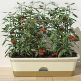 Maxbell Balcony Planter Resin Nordic Rectangle Planters Box for Outdoor Garden Porch Beige