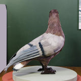 Maxbell Imitation Foam Pigeon Bird Garden Ornament Bird Toy for Party Favors Stylish
