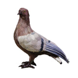 Maxbell Imitation Foam Pigeon Bird Garden Ornament Bird Toy for Party Favors Stylish