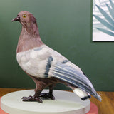 Maxbell Imitation Foam Pigeon Bird Garden Ornament Bird Toy for Party Favors Stylish