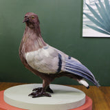 Maxbell Imitation Foam Pigeon Bird Garden Ornament Bird Toy for Party Favors Stylish