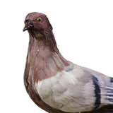 Maxbell Imitation Foam Pigeon Bird Garden Ornament Bird Toy for Party Favors Stylish