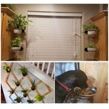 Maxbell Wall Mounted Wall Bracket Outdoor Hanigng Planter Rings for Garden Yard Wall 8inch