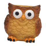 Maxbell Flower Pot Plant Pot Cartoon with Drainage Plant Containers Animals Planters Style A