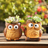 Maxbell Flower Pot Plant Pot Cartoon with Drainage Plant Containers Animals Planters Style B