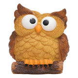 Maxbell Flower Pot Plant Pot Cartoon with Drainage Plant Containers Animals Planters Style B