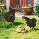 Maxbell 4Pcs Chicken Animal Statue Stakes Sign Chicken Garden Statue for Porch Patio