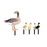 Maxbell 5Pcs Duck Animal Statue Stakes Acrylic Garden Stakes for Backyard Yard Decor