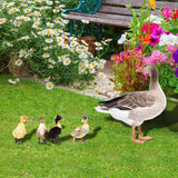 Maxbell 5Pcs Duck Animal Statue Stakes Acrylic Garden Stakes for Backyard Yard Decor