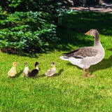 Maxbell 5Pcs Duck Animal Statue Stakes Acrylic Garden Stakes for Backyard Yard Decor