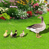Maxbell 5Pcs Duck Animal Statue Stakes Acrylic Garden Stakes for Backyard Yard Decor