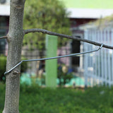 Maxbell 20x Fruit Branch Spreaders Branch Puller Durable Bonsai Modeling Making Tool 10cm