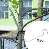 Maxbell 20x Fruit Branch Spreaders Branch Puller Durable Bonsai Modeling Making Tool 10cm