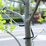 Maxbell 20x Fruit Branch Spreaders Branch Puller Durable Bonsai Modeling Making Tool 12cm