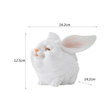 Maxbell Easter Mini Bunny Figurines Little White Rabbit Micro Landscape for Birthday Medium