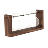 Maxbell Terrarium Glass Planter with Wooden Stand Wall Mountable for Tabletop Office