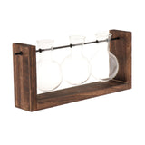 Maxbell Terrarium Glass Planter with Wooden Stand Wall Mountable for Tabletop Office