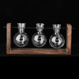 Maxbell Terrarium Glass Planter with Wooden Stand Wall Mountable for Tabletop Office