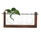 Maxbell Terrarium Glass Planter with Wooden Stand Wall Mountable for Tabletop Office