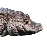 Maxbell Mini Alligator Sculpture Resin Tea Pet Miniature Cute Decoration for Bedroom