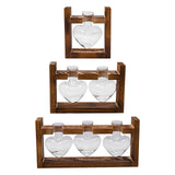 Maxbell Hydroponic Vase Planter Tabletop Glass Vase for Bookshelf Living Room Office 1 Glass Vase