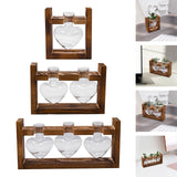 Maxbell Hydroponic Vase Planter Tabletop Glass Vase for Bookshelf Living Room Office 1 Glass Vase