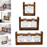 Maxbell Hydroponic Vase Planter Tabletop Glass Vase for Bookshelf Living Room Office 1 Glass Vase