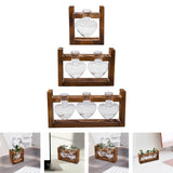 Maxbell Hydroponic Vase Planter Tabletop Glass Vase for Bookshelf Living Room Office 1 Glass Vase