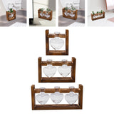 Maxbell Hydroponic Vase Planter Tabletop Glass Vase for Bookshelf Living Room Office 1 Glass Vase