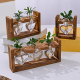 Maxbell Hydroponic Vase Planter Tabletop Glass Vase for Bookshelf Living Room Office 1 Glass Vase