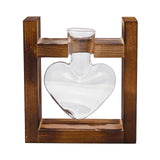 Maxbell Hydroponic Vase Planter Tabletop Glass Vase for Bookshelf Living Room Office 1 Glass Vase