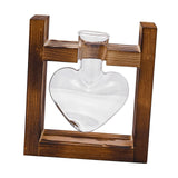 Maxbell Hydroponic Vase Planter Tabletop Glass Vase for Bookshelf Living Room Office 1 Glass Vase